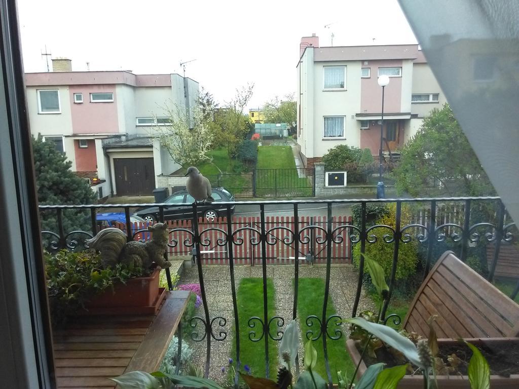 Ubytovani Irena Benesov  Luaran gambar