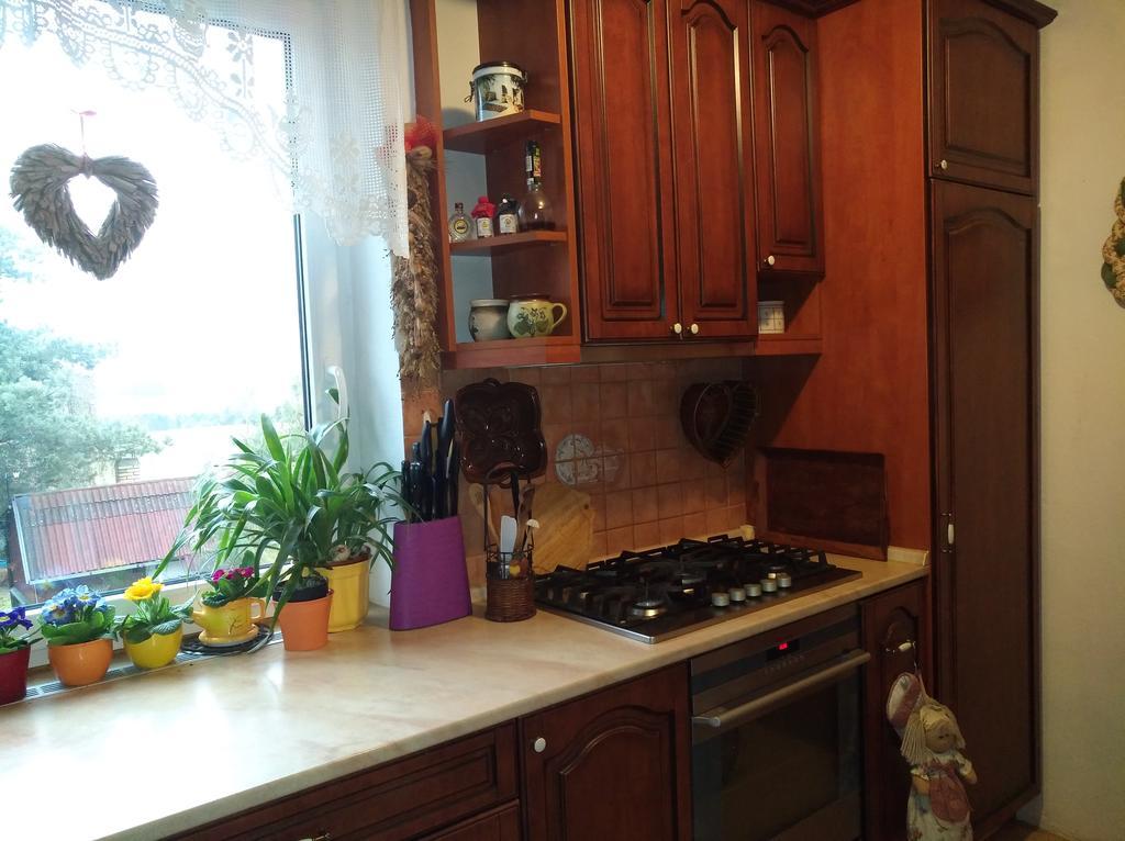 Ubytovani Irena Benesov  Luaran gambar