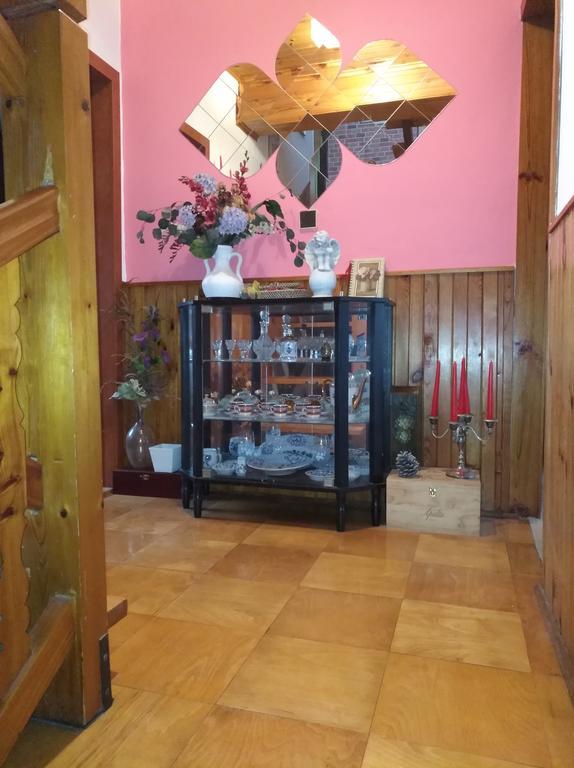Ubytovani Irena Benesov  Luaran gambar